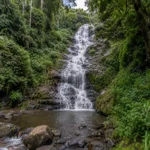 Vattakanal Falls Kodaikanal