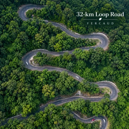 32 Km Loop Road Yercaud 2