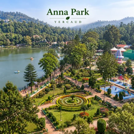 Anna Park Yercaud 3