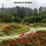 Botanical Garden Ooty