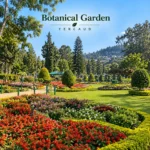 Botanical Garden Yercaud 3