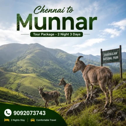 Chennai To Munnar Tour 2night 3days