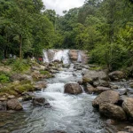 Chinnakallar Falls Valparai