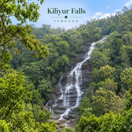 Kiliyur Falls Yercaud 2