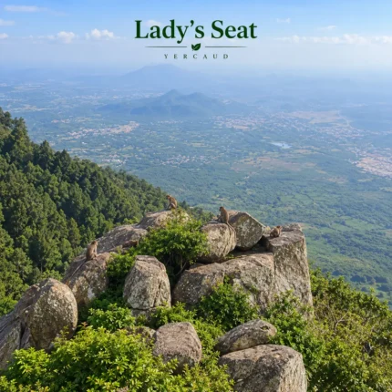 Ladys Seat Yercaud 3