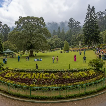 Ooty Botanical Garden 1