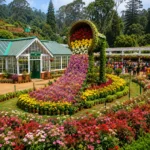 Ooty Rose Garden 1 1