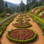 Ooty Rose Garden 2