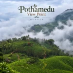 Pothamedu View Point Munnar 2 1