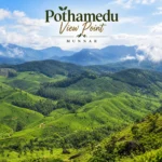Pothamedu View Point Munnar Gallery 1 1
