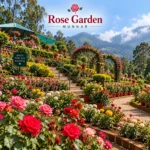 Rose Garden Munnar 1 1