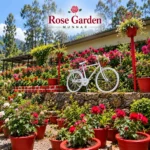 Rose Garden Munnar 2