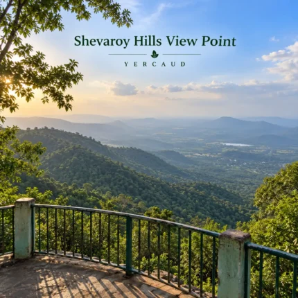 Shevaroy Hills View Point Yercaud 2