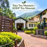 Tata Tea Museum Kdhp Tea Museum Munnar 1 1
