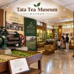 Tea Museum Munnar 2