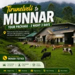 Tirunelveli To Munnar Tour 2night 3days 1 1