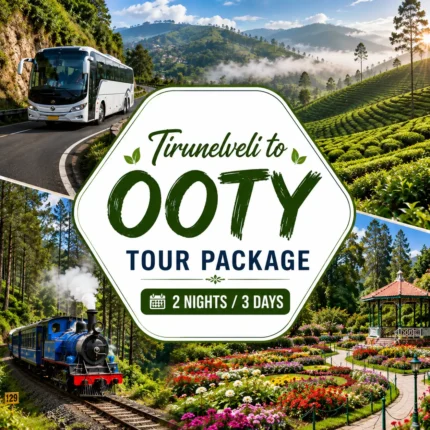 Tirunelveli To Ooty Tour 2nights 3days 1