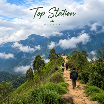 Top Station Munnar Trails 2 1