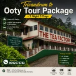 Trivandrum To Ooty Tour 2night 3days