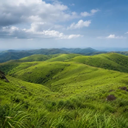 Vagamon Meadows